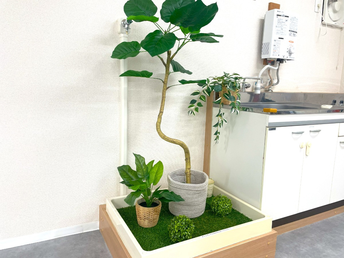 スペースの3枚目の写真