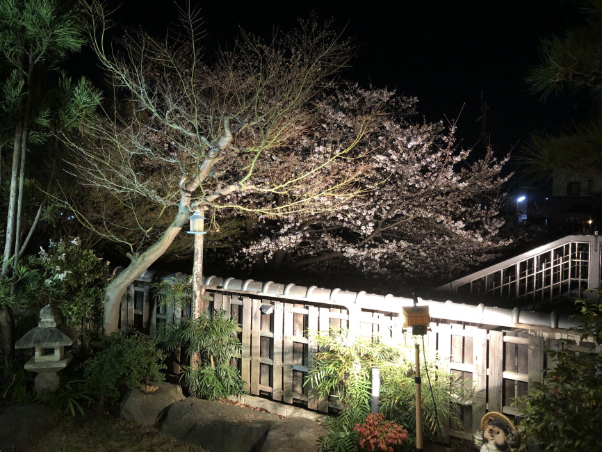 スペースの2枚目の写真