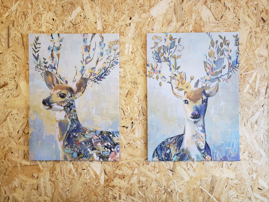 スペースの3枚目の写真