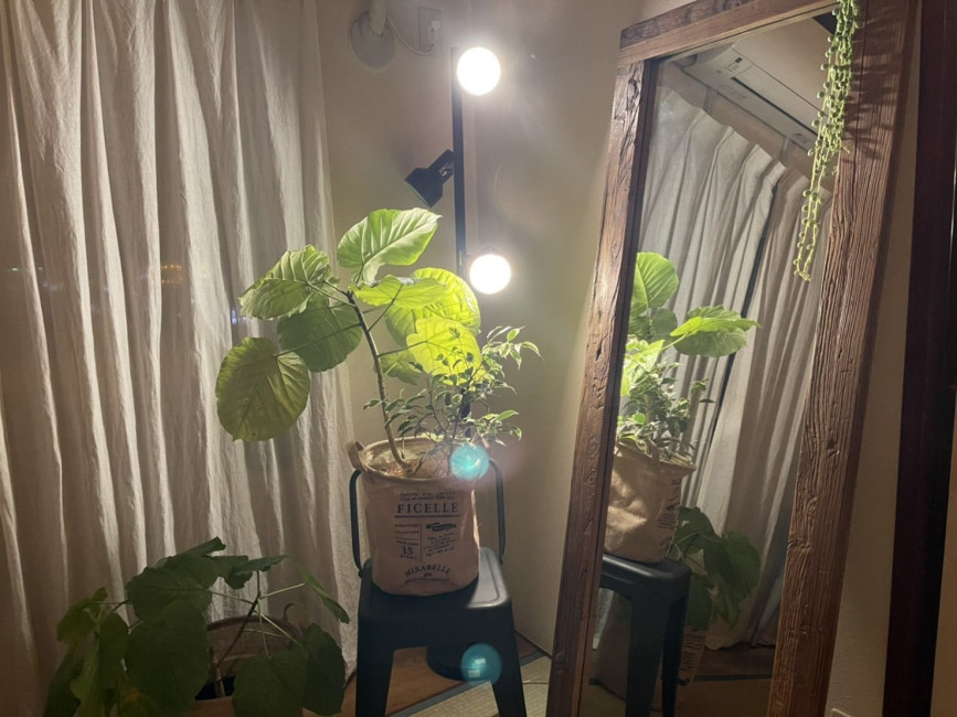 スペースの3枚目の写真