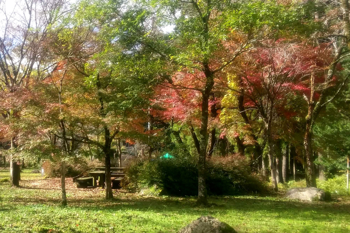 スペースの3枚目の写真