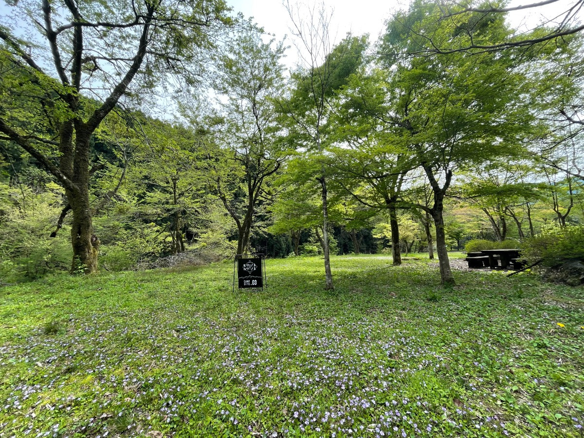 スペースの3枚目の写真