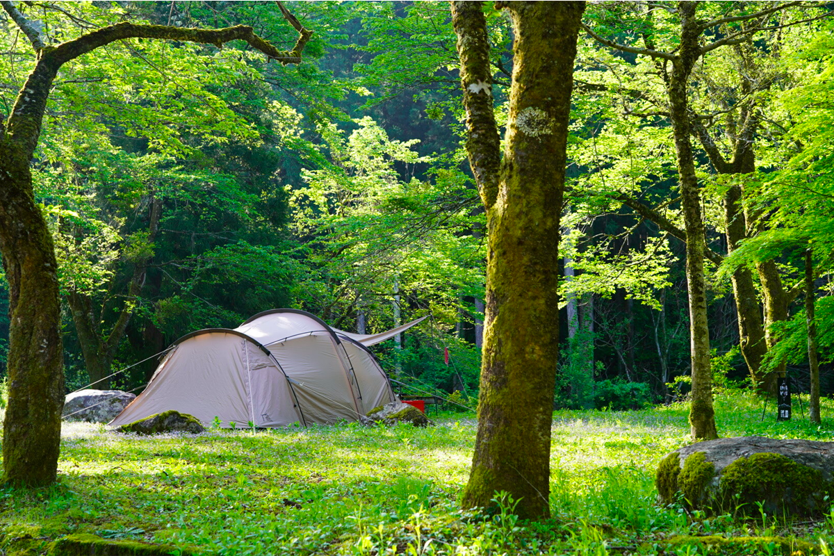 スペースの1枚目の写真