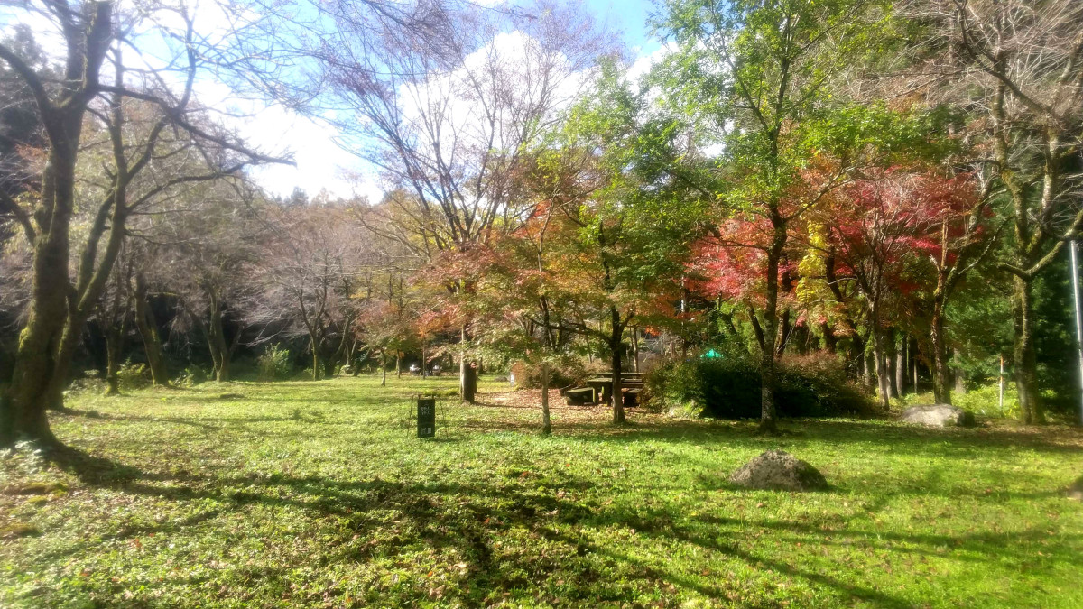 スペースの2枚目の写真