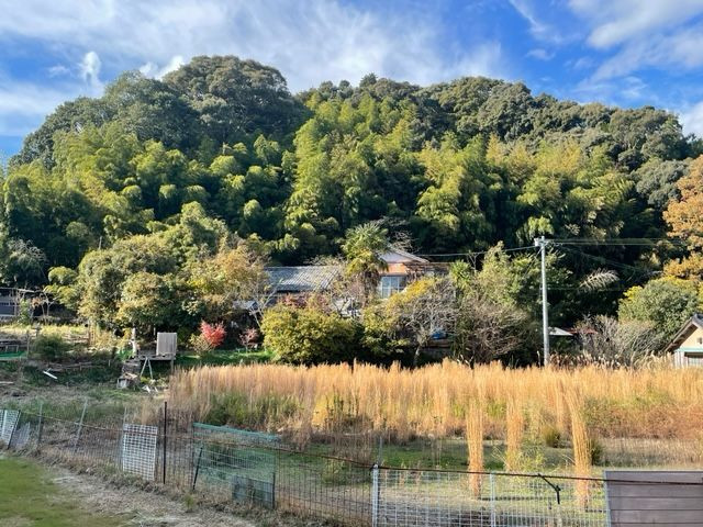 スペースの3枚目の写真