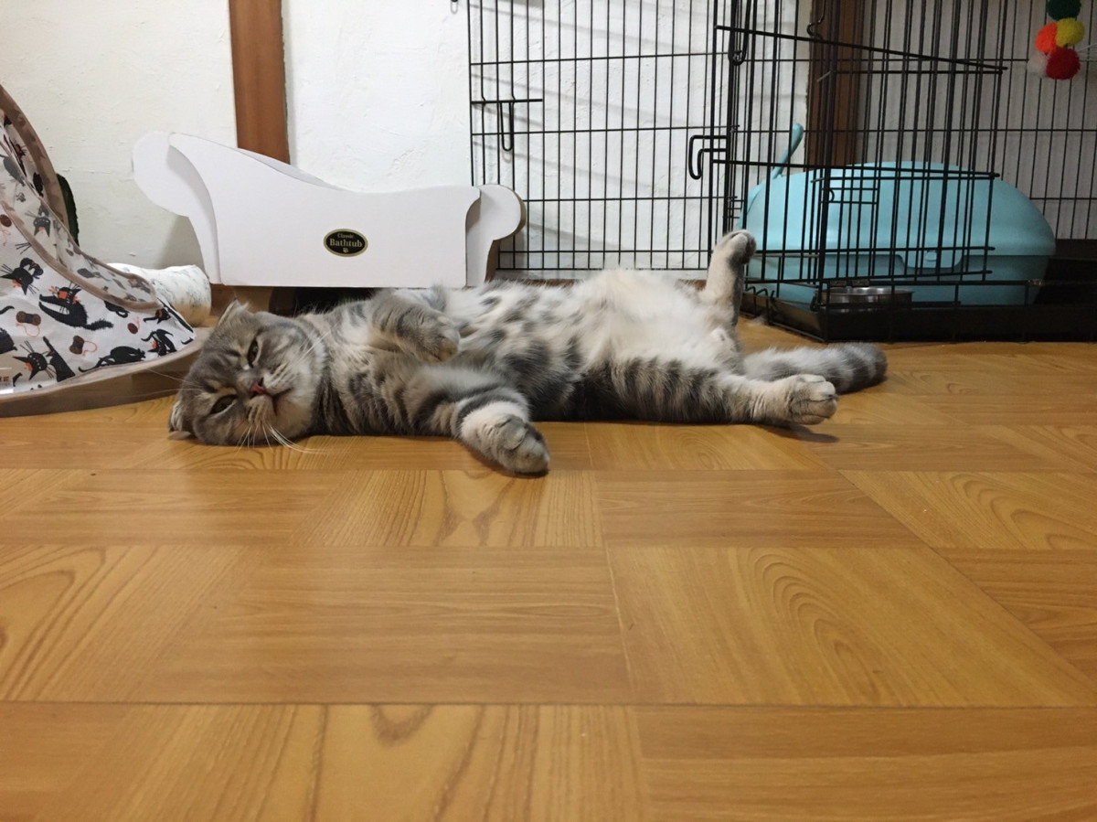 スペースの1枚目の写真