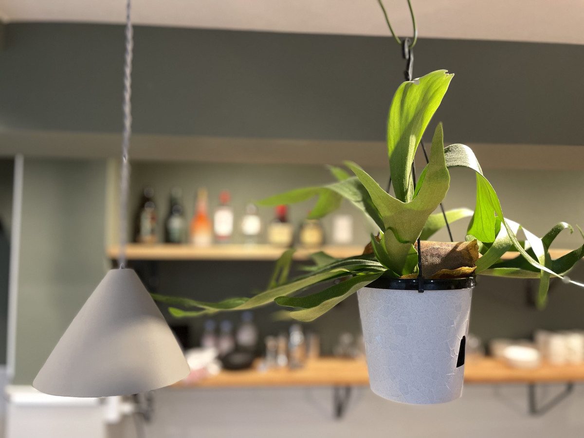 スペースの3枚目の写真