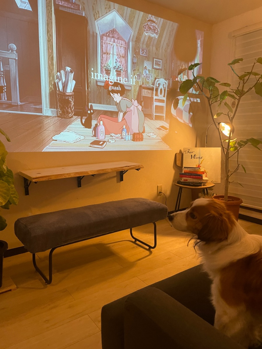 スペースの3枚目の写真