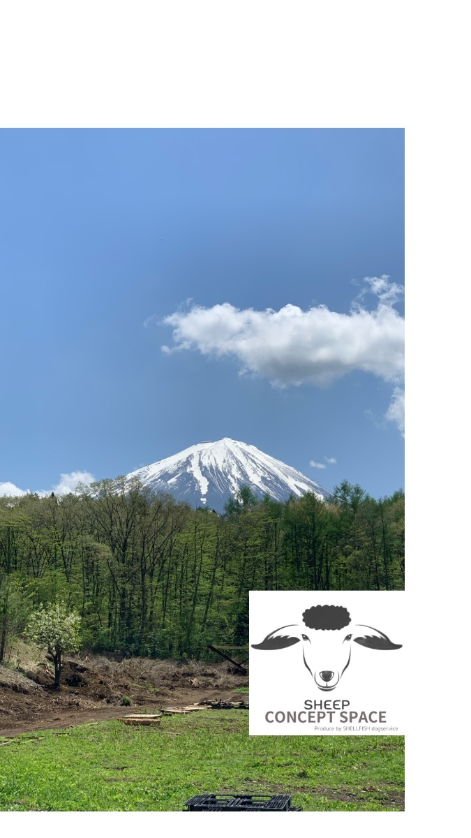 スペースの1枚目の写真