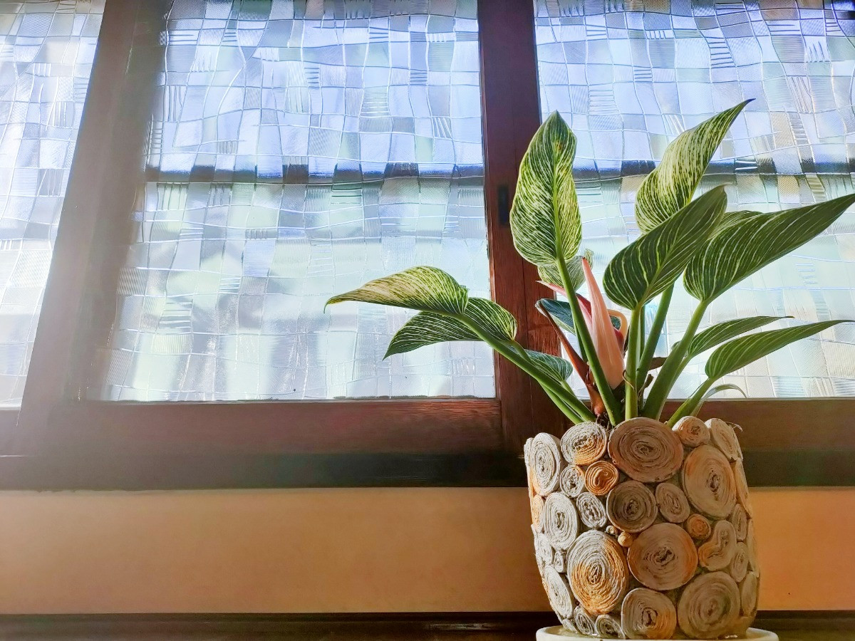 スペースの2枚目の写真