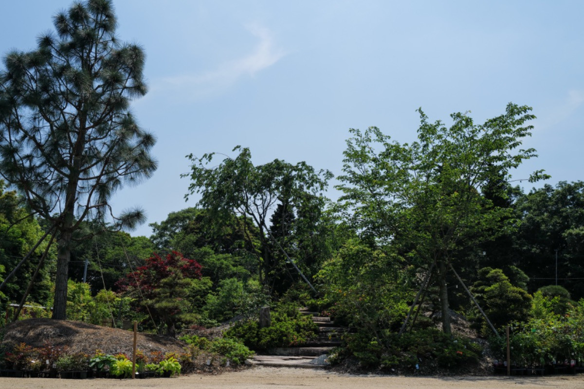 スペースの1枚目の写真