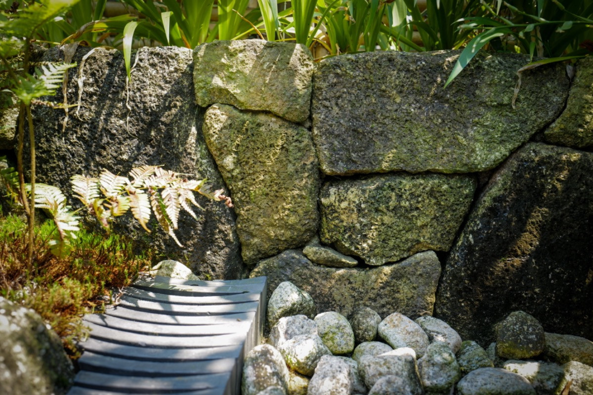 スペースの3枚目の写真