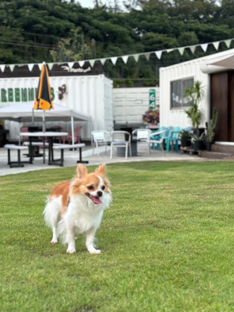 スペースの2枚目の写真