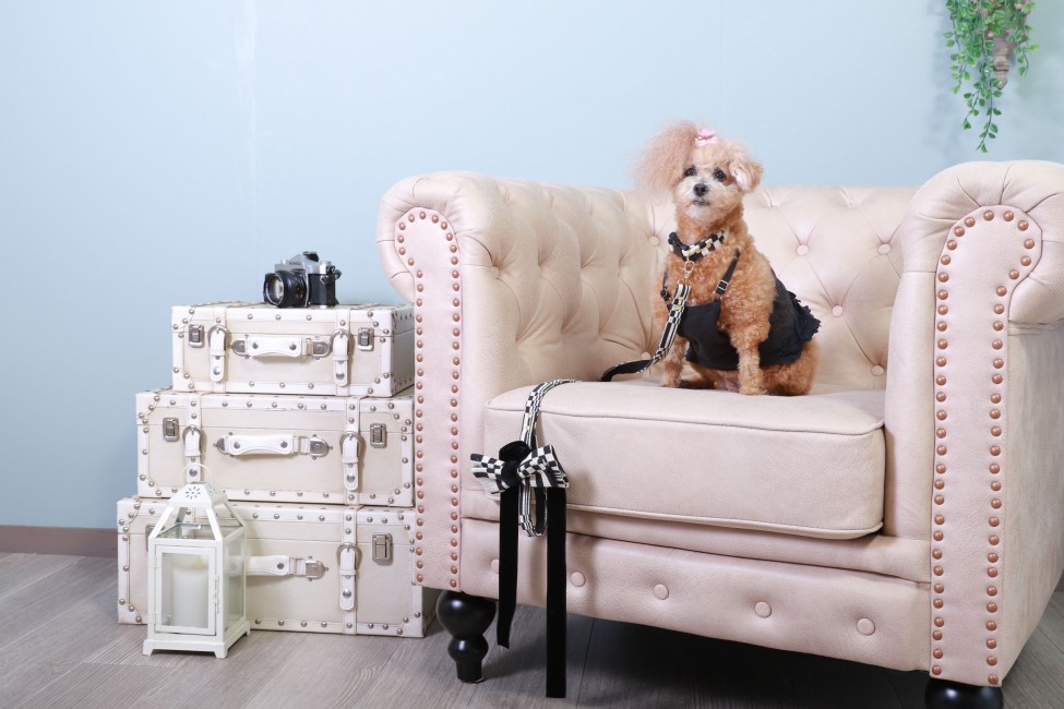 スペースの3枚目の写真