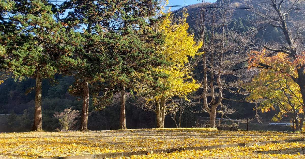 スペースの2枚目の写真