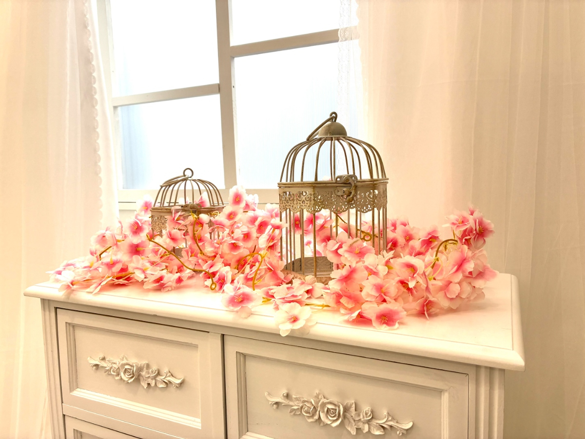 スペースの3枚目の写真