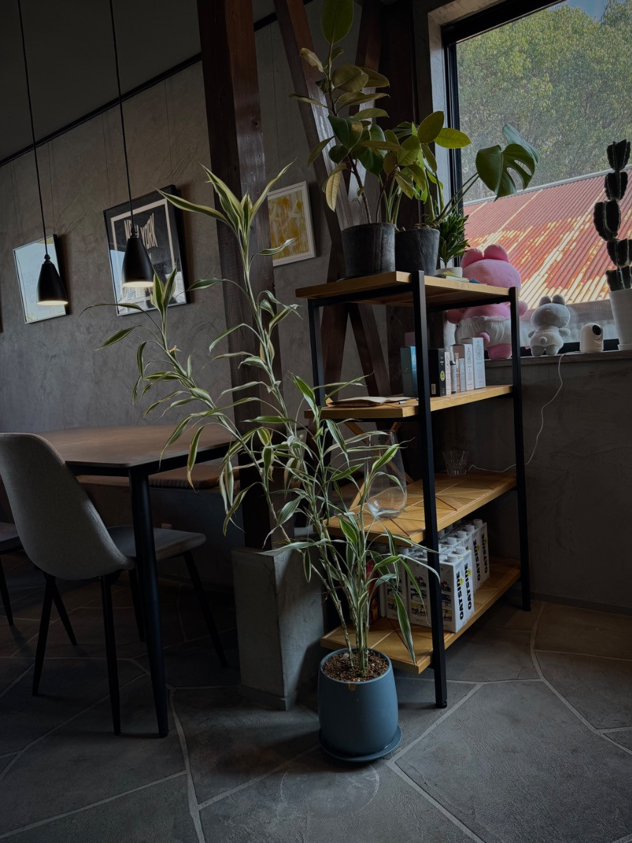 スペースの3枚目の写真