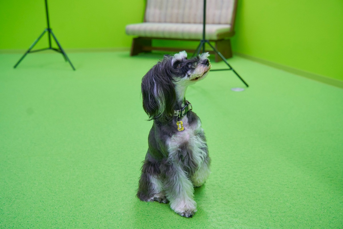 スペースの2枚目の写真