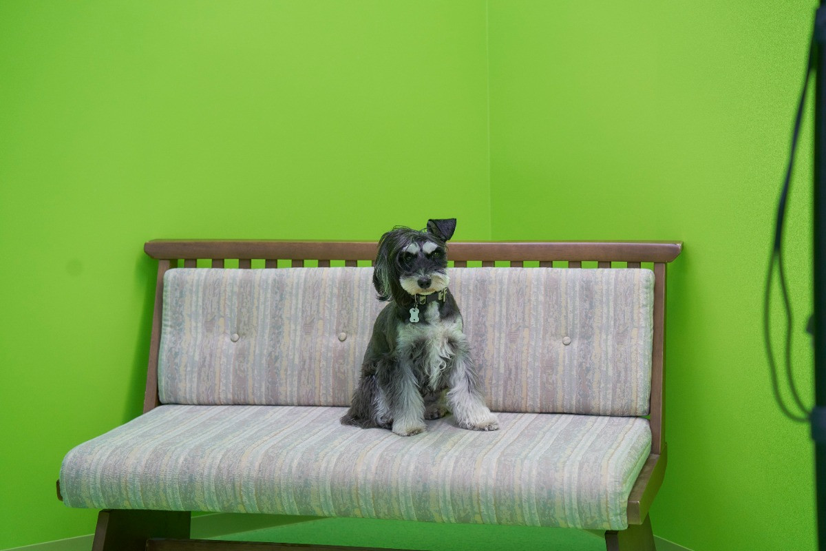 スペースの1枚目の写真