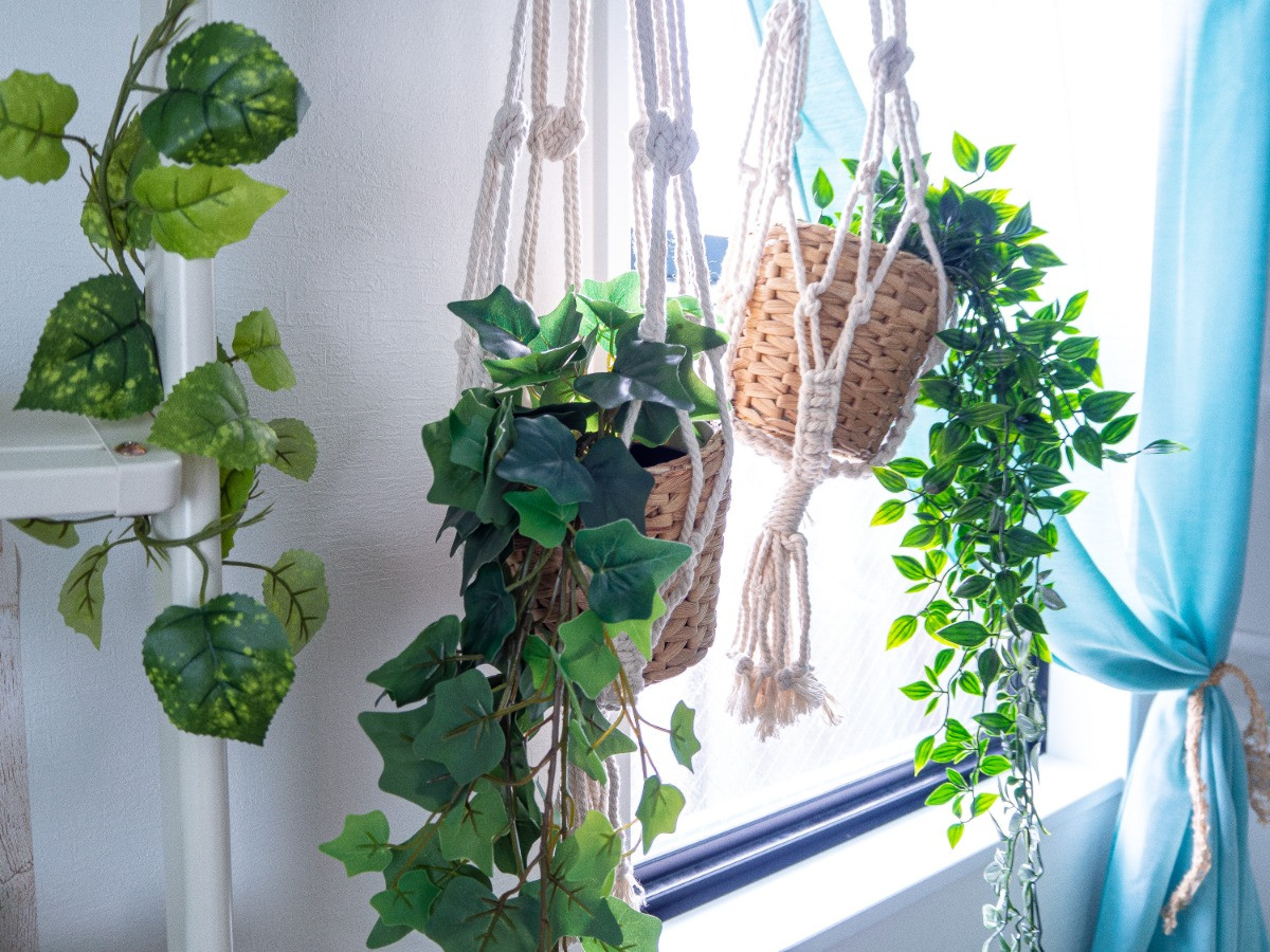 スペースの3枚目の写真