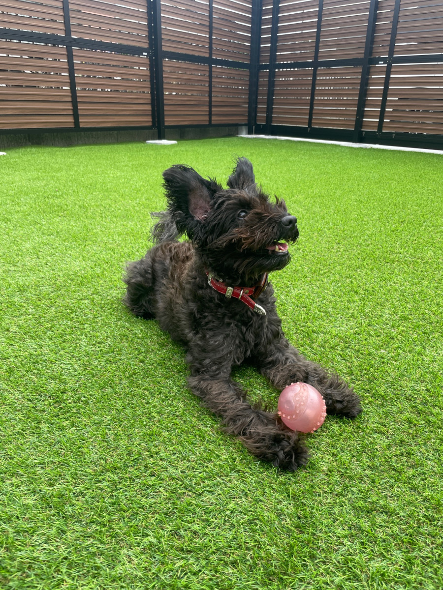 スペースの2枚目の写真