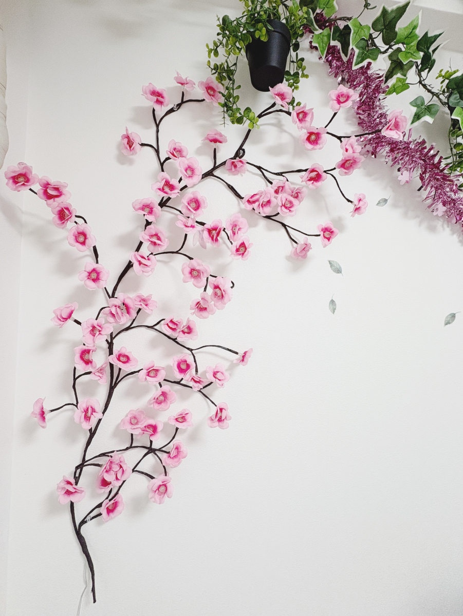 スペースの3枚目の写真