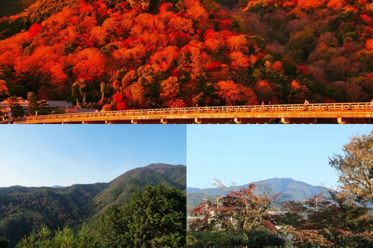 スペースの3枚目の写真