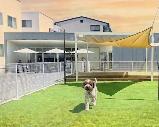 ス  ペースの2枚目の写真