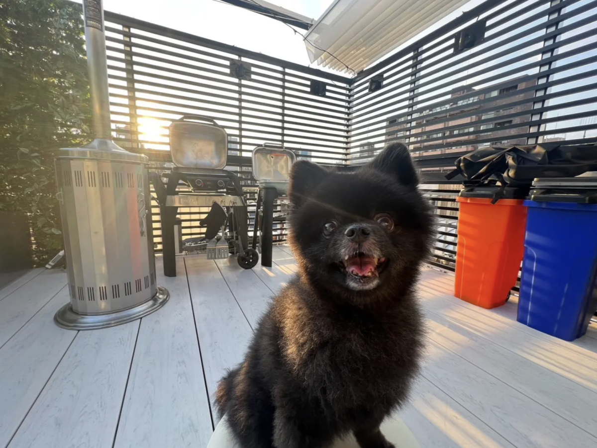 スペースの2枚目の写真