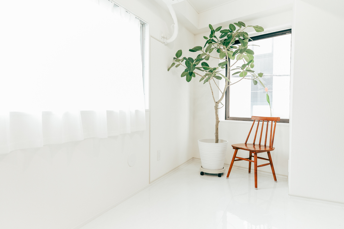 スペースの3枚目の写真