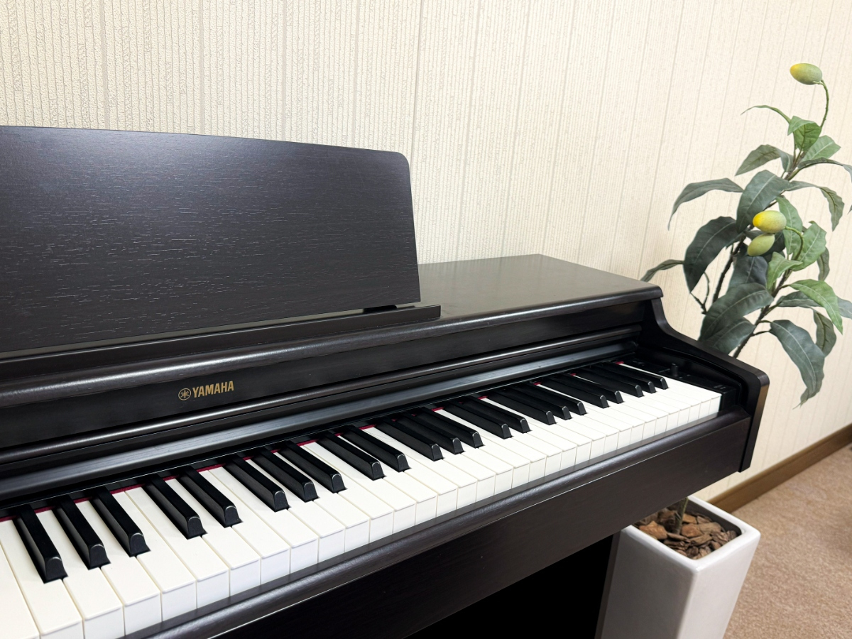 スペースの2枚目の写真