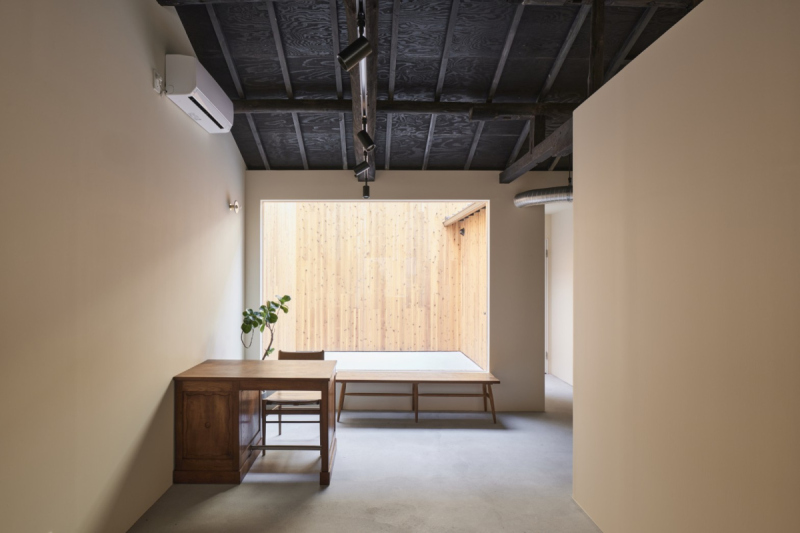 linea studio