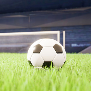 サッカーW杯観戦
